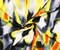 Black-Multi Poly Stretch Abtract Printed ITY Jersey Knit Fabric By the Yard